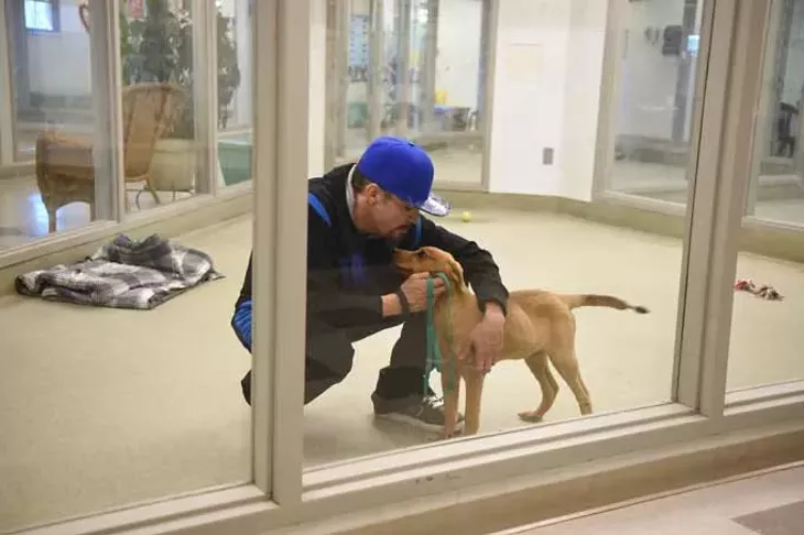 OKC-Animal-ShelterWeb.jpg
