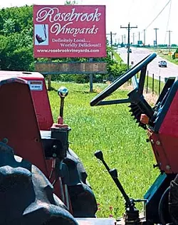 Rosebrook Vineyard has rows and rows of greening grapevines into their 3rd year of growth, and this nice red tractor parked out front. mh
