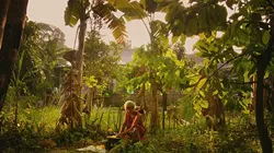 TLOS_FRUIT.jpg