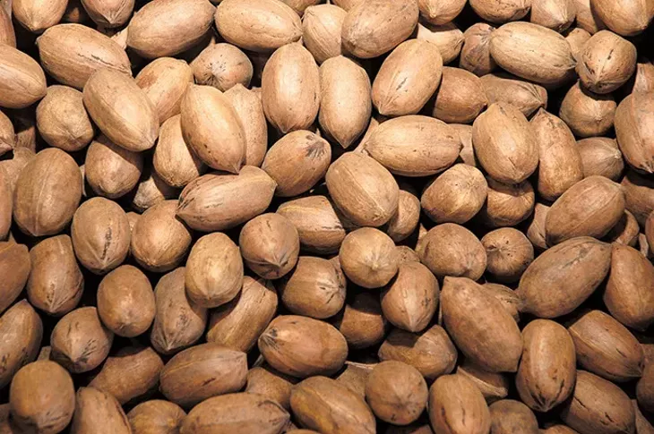 pecans-2.jpg