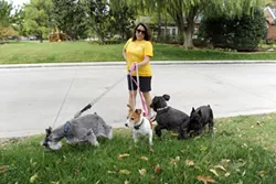 Cherokee Ballard walks her dogs in her neighborhood in Nichols Hills, Thursday, Oct. 22, 2015. - GARETT FISBECK