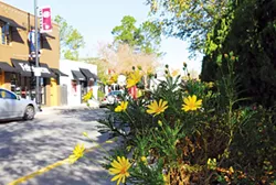 Campus-Corner-Flowers-407mh.jpg
