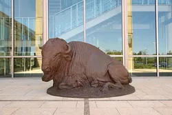 Harold Holden's resting buffalo sculpture at the Oklahoma History Center, Thursday, April 6, 2017. - GARETT FISBECK