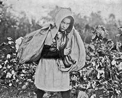 “Callie Campbell, 11 years old, picks 75 to 125 pounds of cotton a day, and totes 50 pounds of it when sack gets full. ‘No, I don't like it very much,’” photographer Lewis Hine wrote in his notebook. Photo taken Oct. 16, 1916, in Pottawatomie County. | Photo Library of Congress Prints and Photographs Division, Washington D.C. / provided - LIBRARY OF CONGRESS