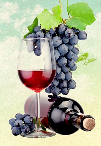 wine_tour_web.jpg