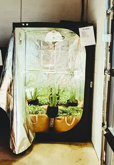 Redbud Soil Company specializes in sustainable soil that can be used for years. - ALEXA ACE