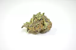 #Rumble from Bullseye Remedies - ALEXA ACE