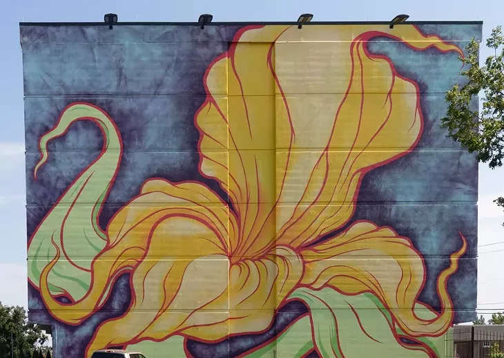 Dylan Bradway mural at 13th and - Classen @mrdylanb - PHILLIP DANNER