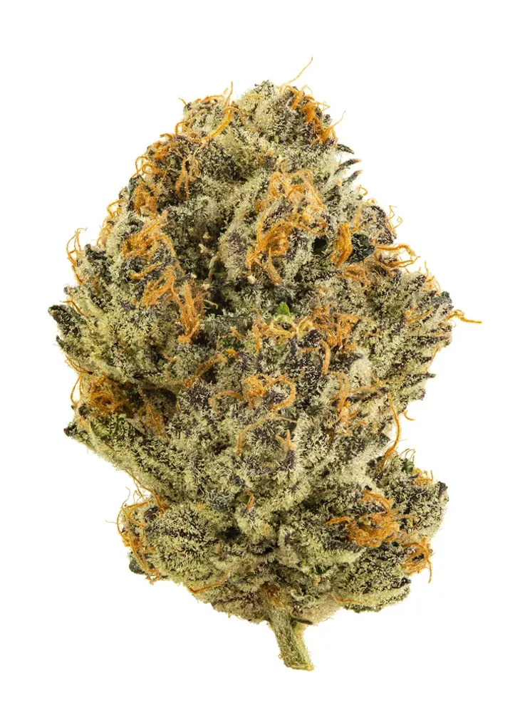 cowboy-cup-strain.jpg