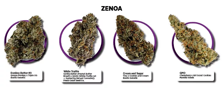 Zenoa Cannabis - BERLIN GREEN