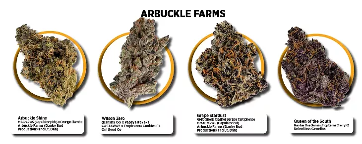 Arbuckle Farms - BERLIN GREEN