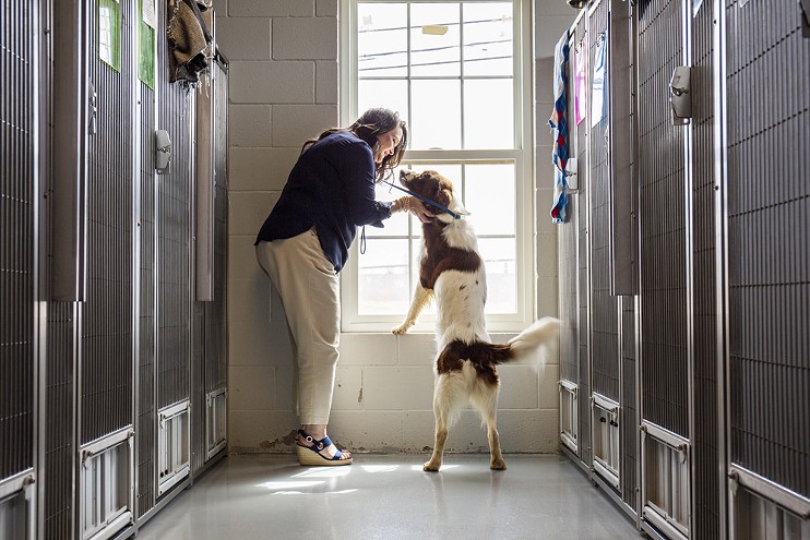 Dana McCrory visits a dog recently surrendered to OKHumane. by Berlin Green.