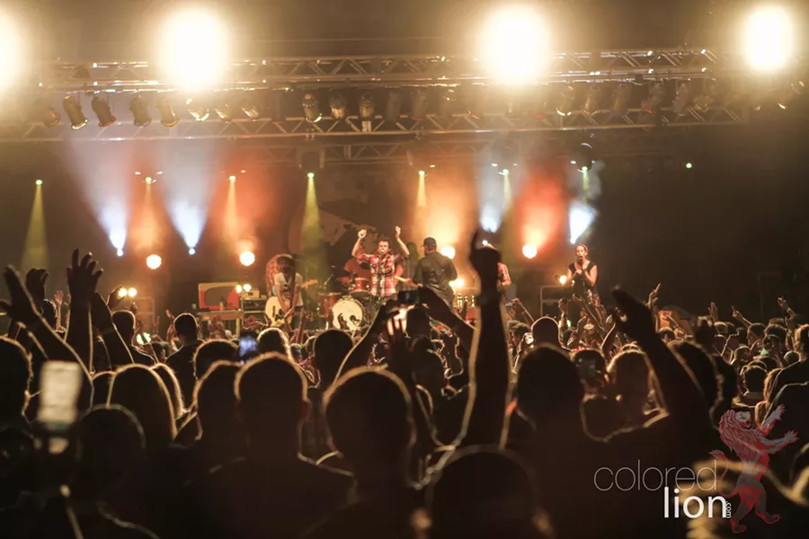 TurnpikeTroubadoursColoredLionPhotographyDaranHerman.jpg