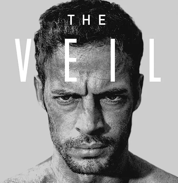 The Veil (Provided)