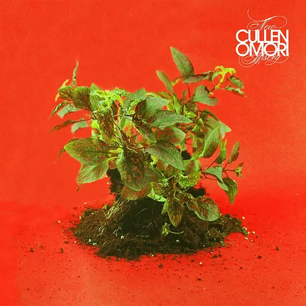 cullenomori-newmisery-900x900-300.jpg