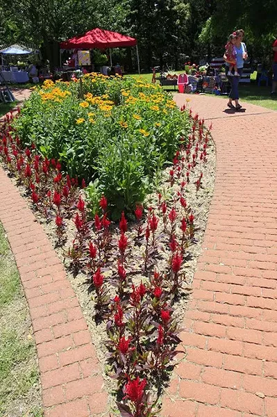 Ponca-City-Herbs-Festival.jpg