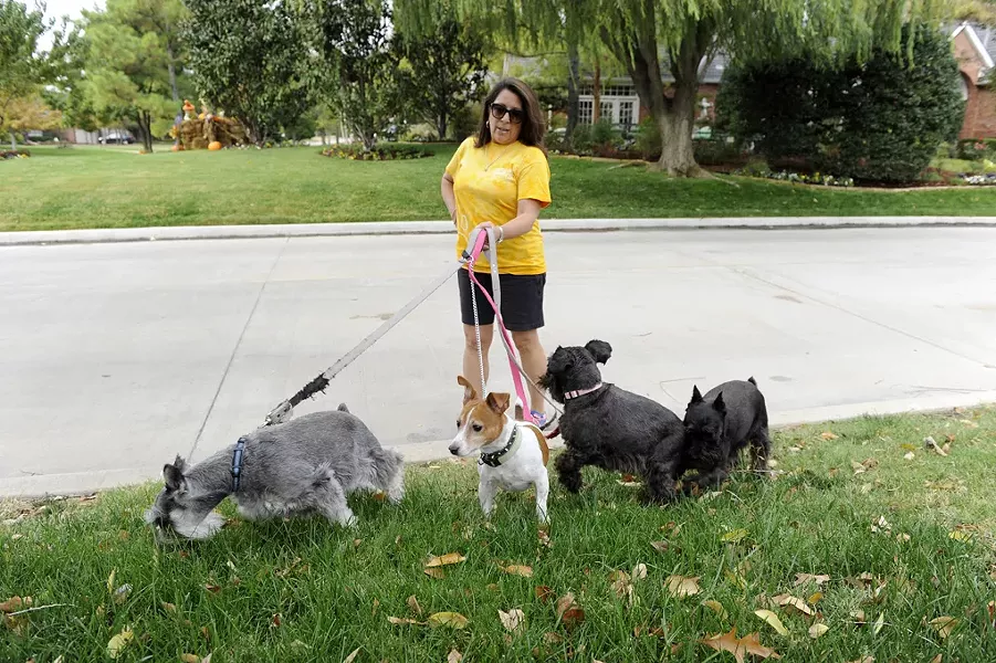 Cherokee Ballard walks her dogs in her neighborhood in Nichols Hills, Thursday, Oct. 22, 2015. - GARETT FISBECK