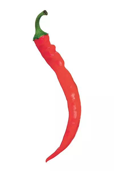 Hot red pepper. Isolated object. Element of design. - BIGSTOCK
