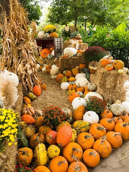 Pumpkinville is Oct. 6-22 at Myriad Botanical Gardens. | Photo Carl Shortt Photography / Myriad Botanical Gardens / provided