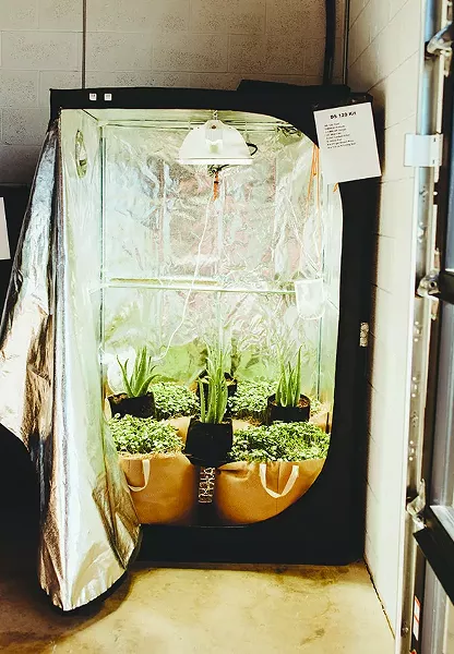 Redbud Soil Company specializes in sustainable soil that can be used for years. - ALEXA ACE