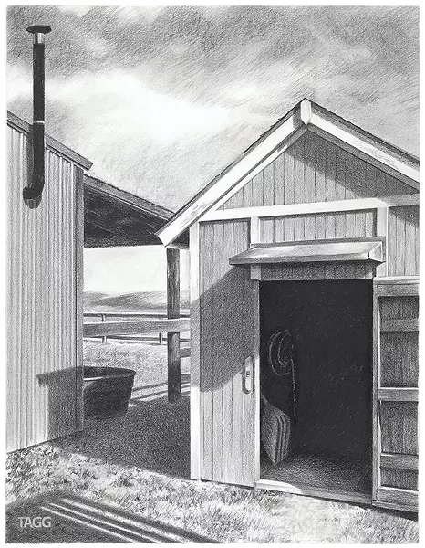 Kim Taggart’s “Five O’Clock Shadows” - PROVIDED