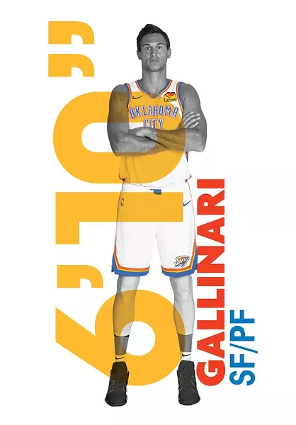 Danilo Gallinari - PROVIDED