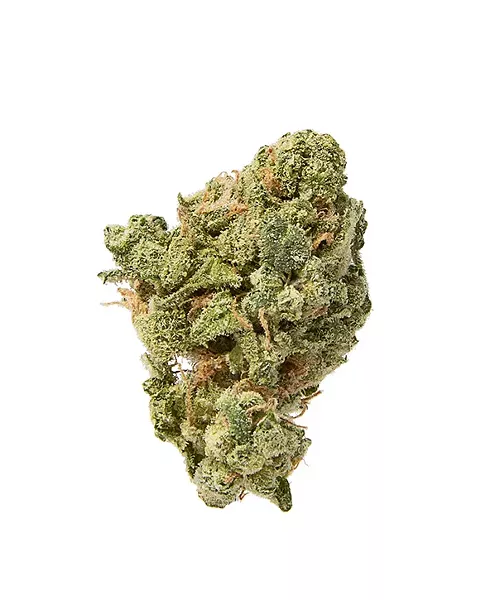 Blue Zkittlez - PHILLIP DANNER