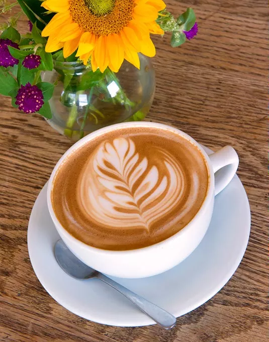 Cuppies-and-Joe-01sc.jpg