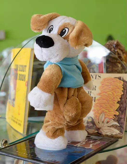 Bow Wow Wow twerking dog at Heart and Hand Thrift Store Monday, March 6, 2017. - GARETT FISBECK