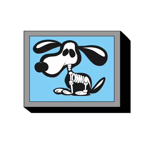 CFNdogxray.jpg