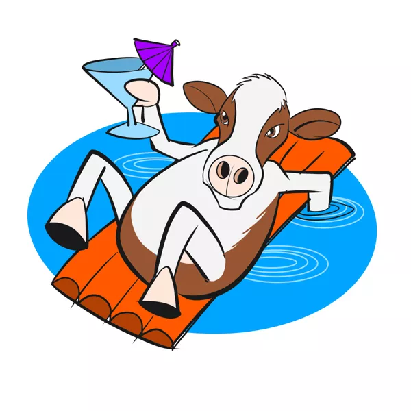 CowSwim.jpg
