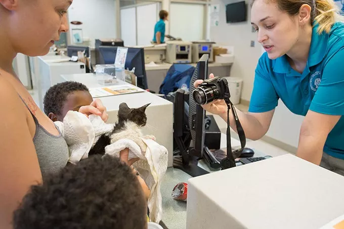 OKC Animal Shelter staff member, Annette Ulibarri, takes a photo of a kitten held by Cary Smith on Monday, June 27, 2016 in Oklahoma City. - EMMY VERDIN