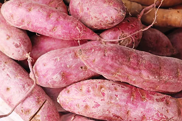 Fresh yams are available at Kafutoh African Food Mart. - PHOTO BIGSTOCK.COM