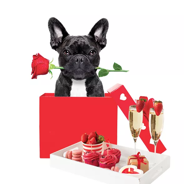 Though millennials and people in Generation Z spend Valentine’s Day a little differently than most other generations — even treating their pets to gifts — holiday-related sales are expected to increase this year. - BIGSTOCK.COM