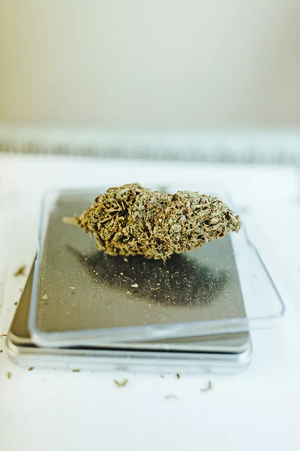 Flower is dried, cured and trimmed before it reaches a sellable, consumable state. - ALEXA ACE