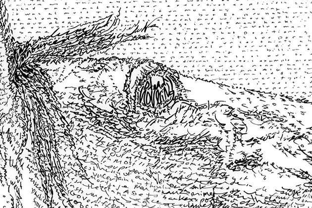 A detail from “The Unraveling” reveals Waugh’s method of micrography; the illustration is composed of hand-copied text from a government economic report. - MICHAEL WAUGH / PROVIDED