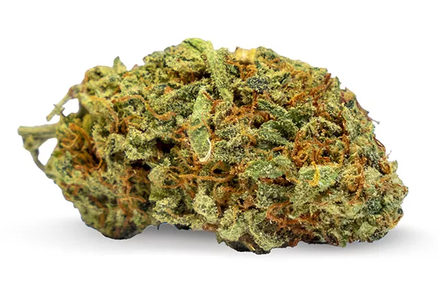 Purple Haze - PHILLIP DANNER