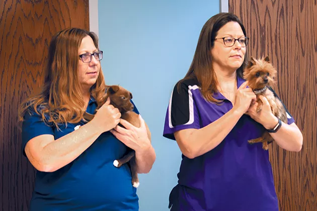 Animal shelters across the state seek to become no-kill shelters by 2025. - MIGUEL RIOS