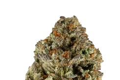 Strain Review: Jelly Breath