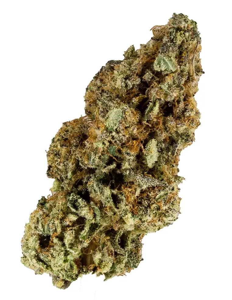 Strain Review: Punch Breath - Vimarsana News