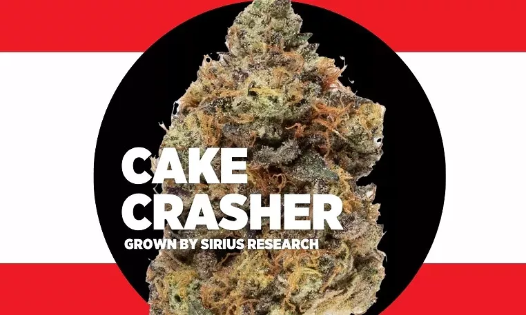 Strain Review: Cake Crasher - Vimarsana News
