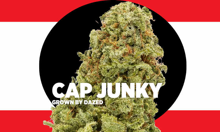 Strain Review: Cap Junky - Vimarsana News