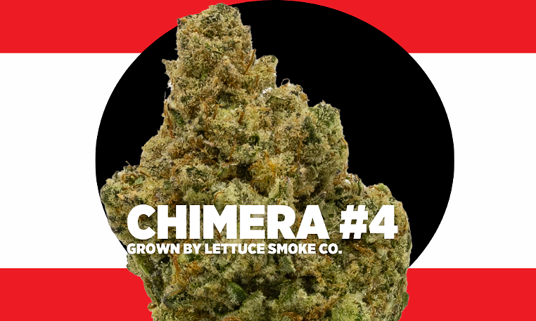 Strain Review: Chimera #4 - Vimarsana News