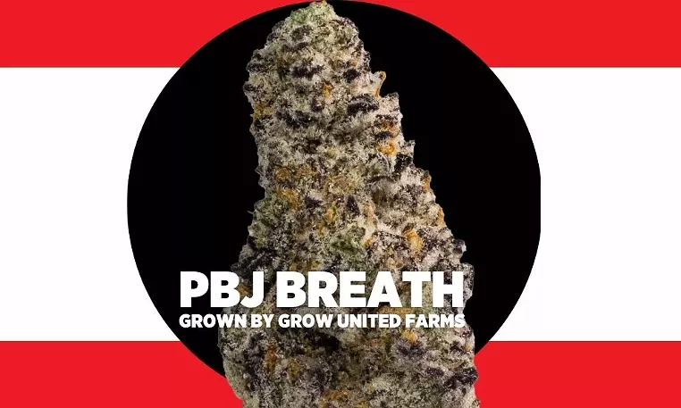 Strain Review: PBJ Breath - Vimarsana News