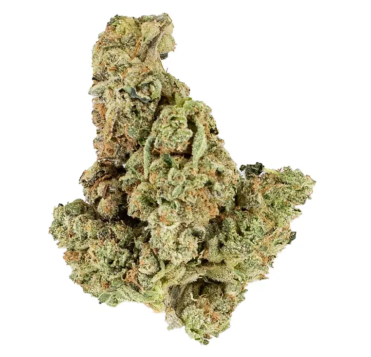 Strain Review: Dirty Taxi - Vimarsana News