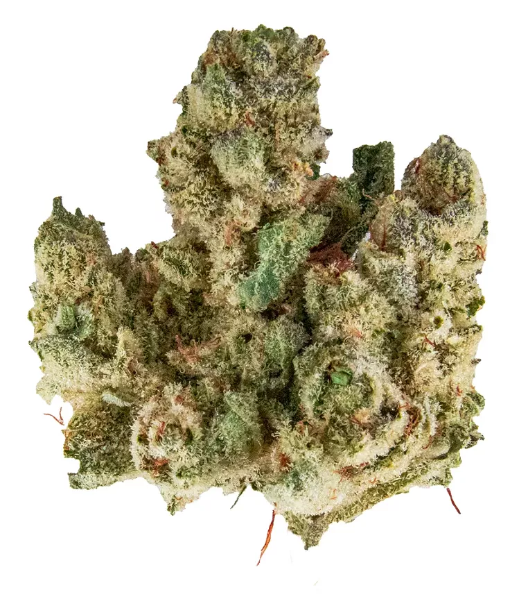 Strain Review: GG#4 - Vimarsana News