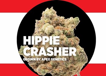 Strain Review: Hippie Crasher
