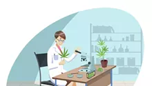 Cannabis testing still problematic