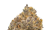 Strain Review: Glazed Apricot Gelato