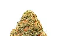 Strain Review: Eskimo Berry